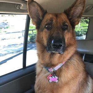 Meet your Posher, Andres